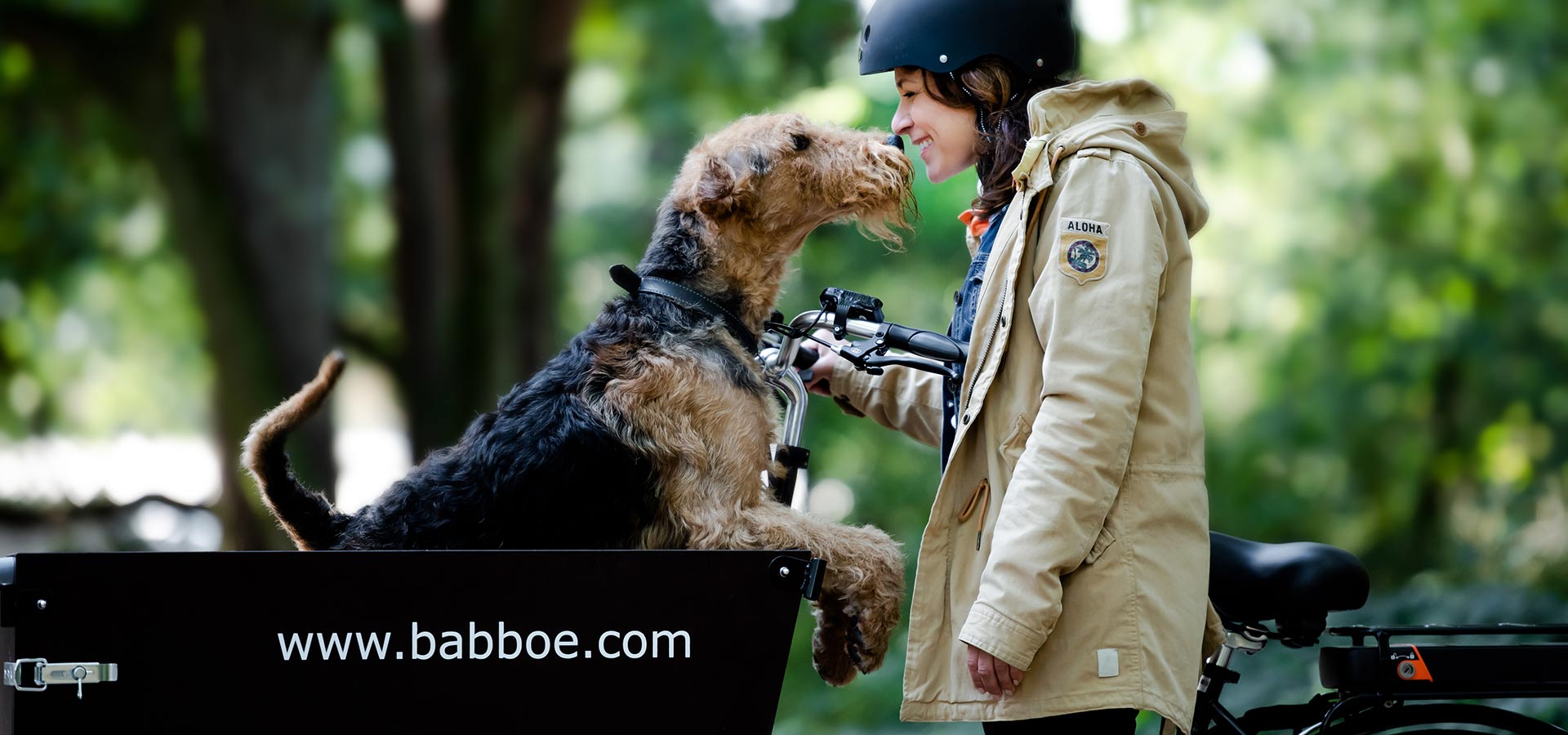 Triporteur chien Babboe Dog