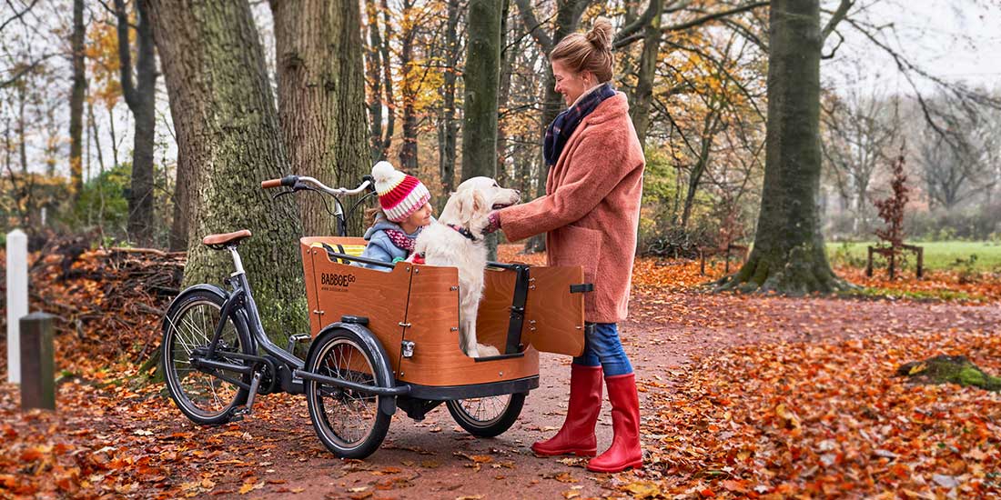 Bâche de protection pour vélo cargo Babboe City / Carve