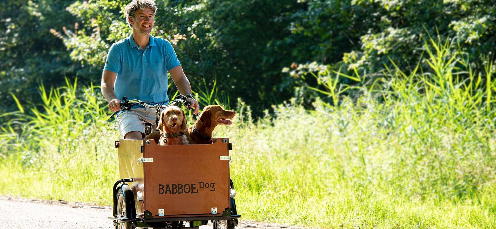 Faire du vélo avec son chien, c'est une fête