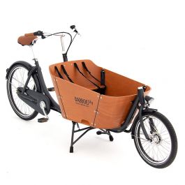 Velo discount cargo arriere