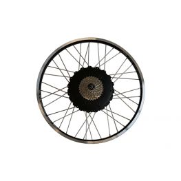 GWA roue arriÃ¨re 26 inch R45 frein Ã  disque 8V