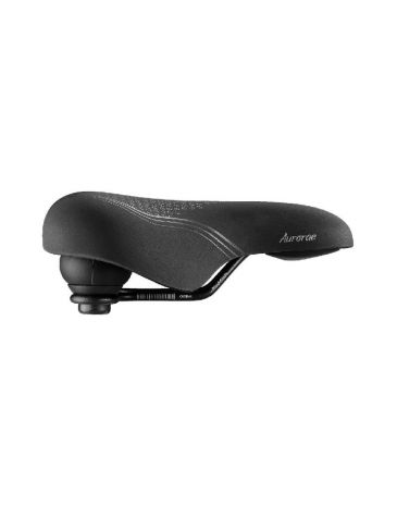 Selle Aurorae noire